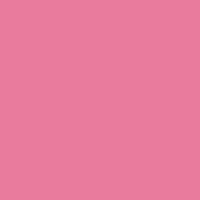 Carnation - Pink